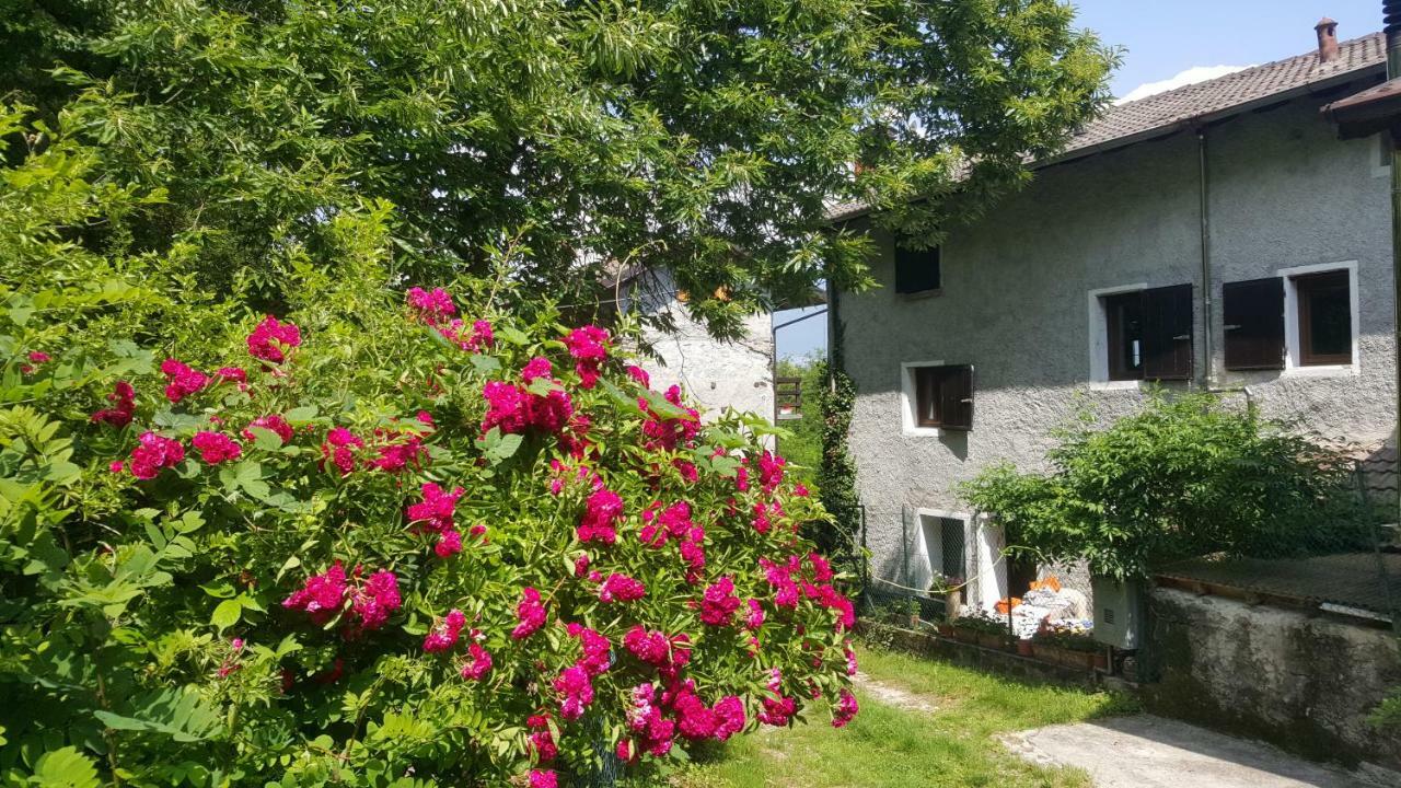 Casa Ronit Villa Delebio Eksteriør billede